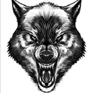 Meet your Posher, Jordin